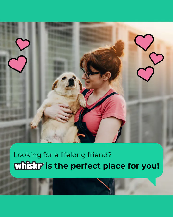 Whiskr