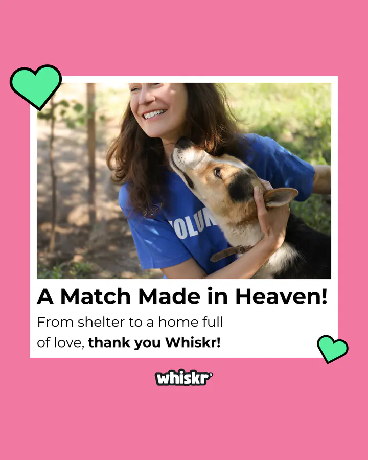 Whiskr